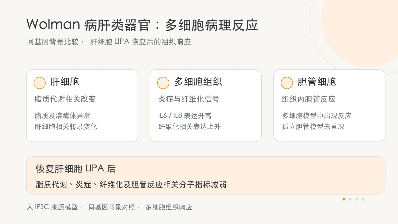 多细胞肝模型的脂质、炎症相关表达和胆管反应，以及肝细胞 LIPA 恢复后的变化。