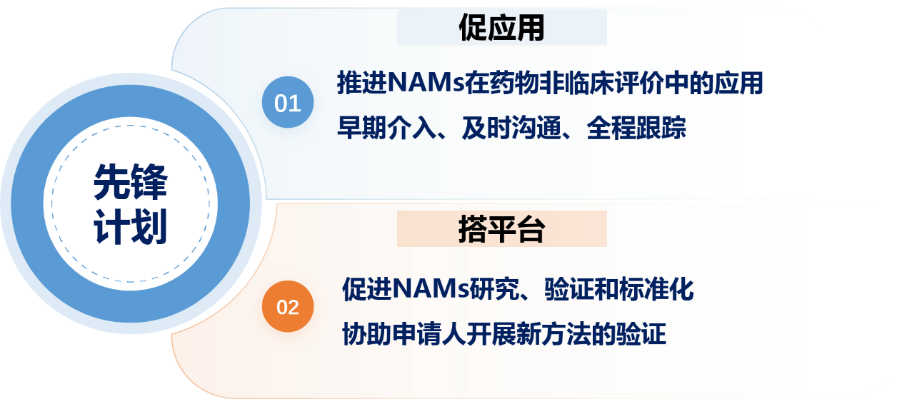 先锋计划官方原图：促应用与搭平台两条路径